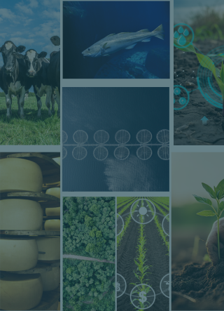 ISIF invests US$65m (€60m) in two SOSV funds promoting sustainable investments and biomanufacturing
