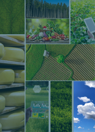 Food & Agriculture