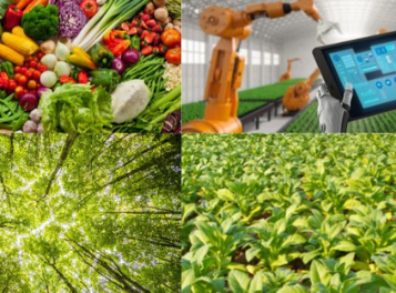 Food & Agriculture